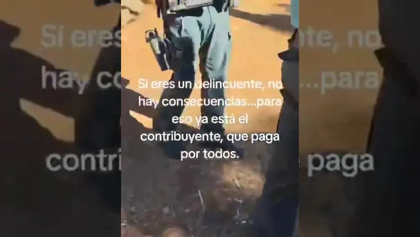 eldiestro.tv