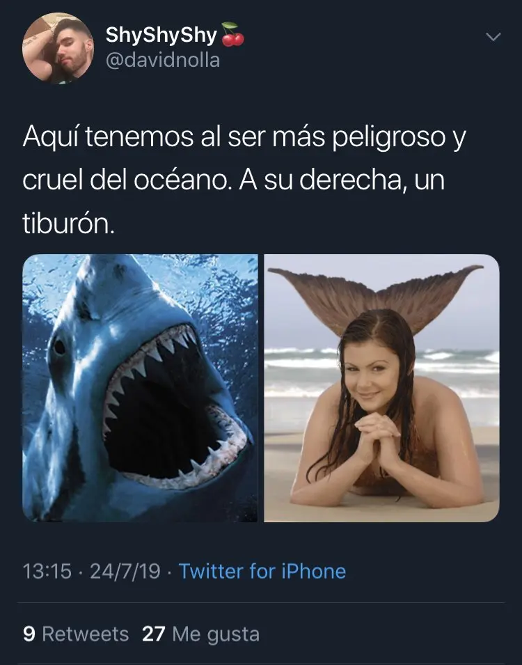IQaW6RP.jpg