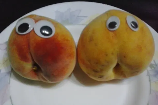 4d1a74028a302320f964fd71d7387d37.png