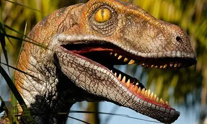 velocirraptor1.jpg
