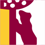 gacetademadrid.com