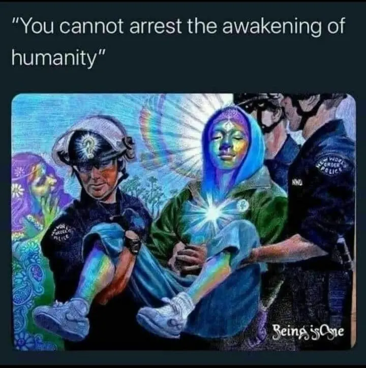 bPd8b0G.jpg