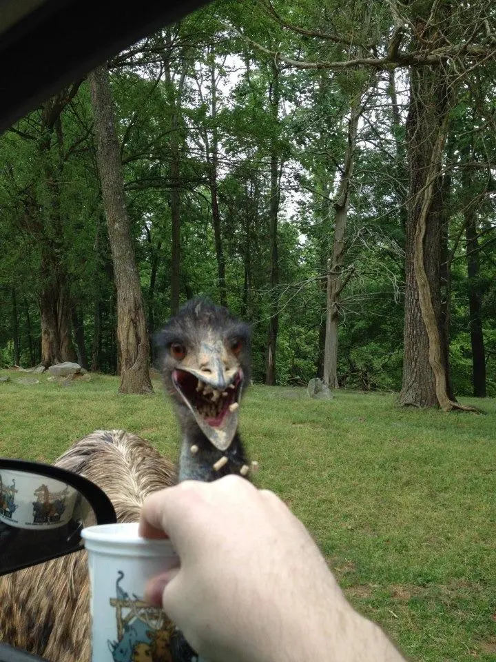 QmFCg.jpg