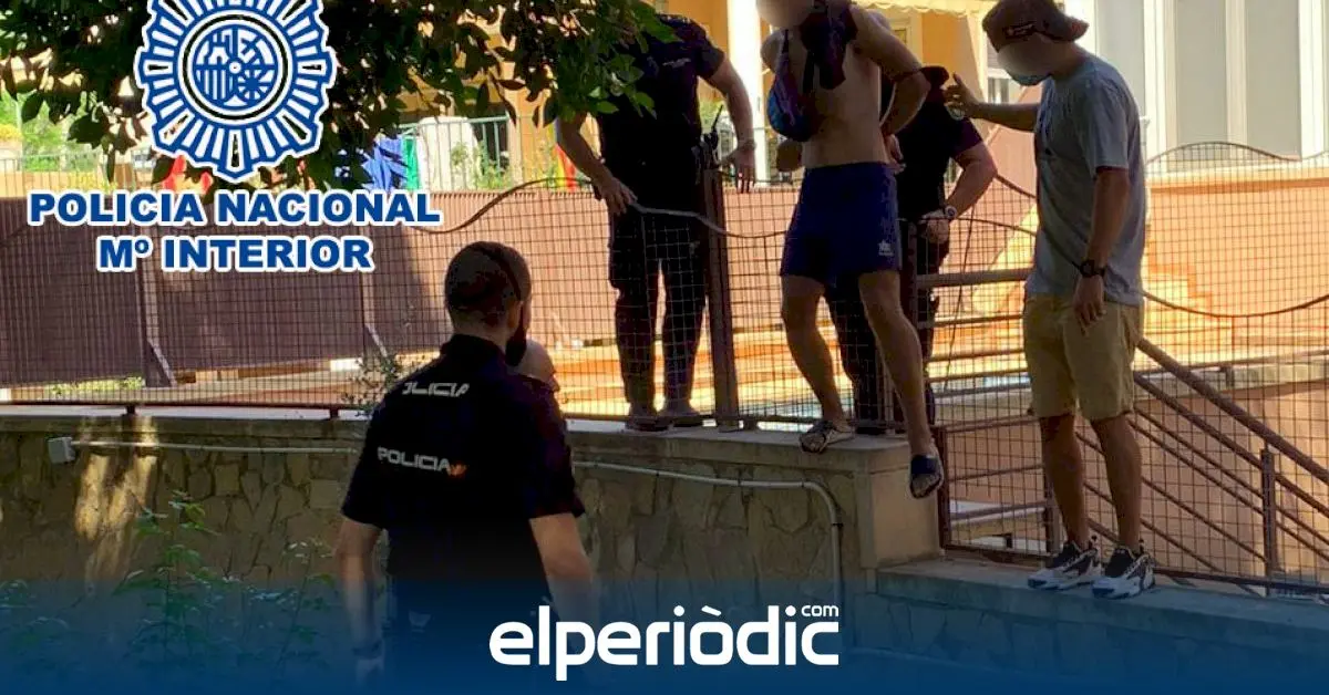 www.elperiodic.com