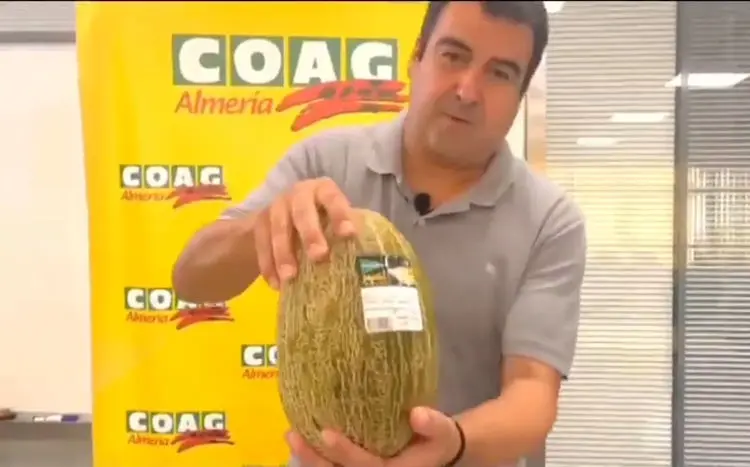 hortoinfo.es