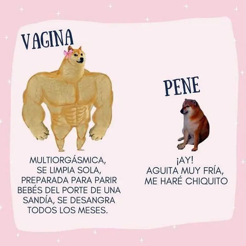 edwefwe.jpg