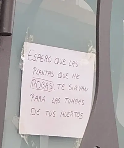 wefqwefqe.jpg
