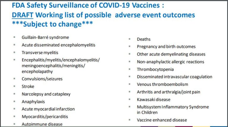 FDa-documento-numero-17-768x428.jpg