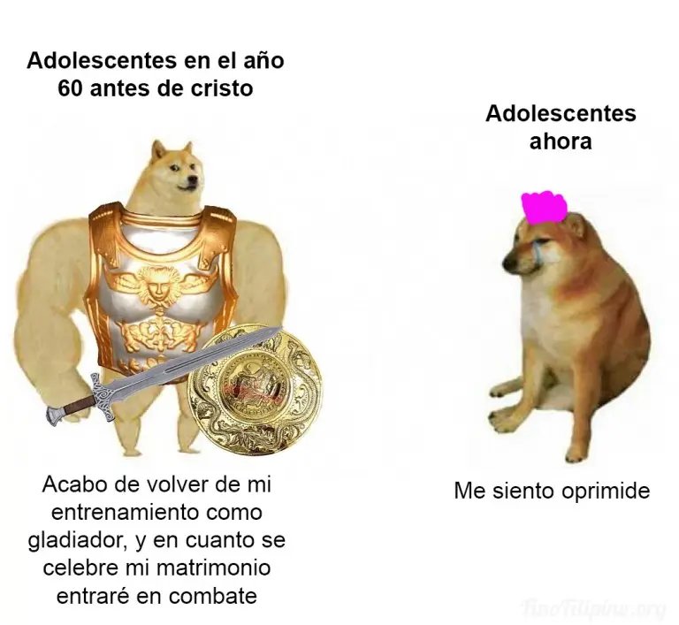 2YXqQGH.jpg