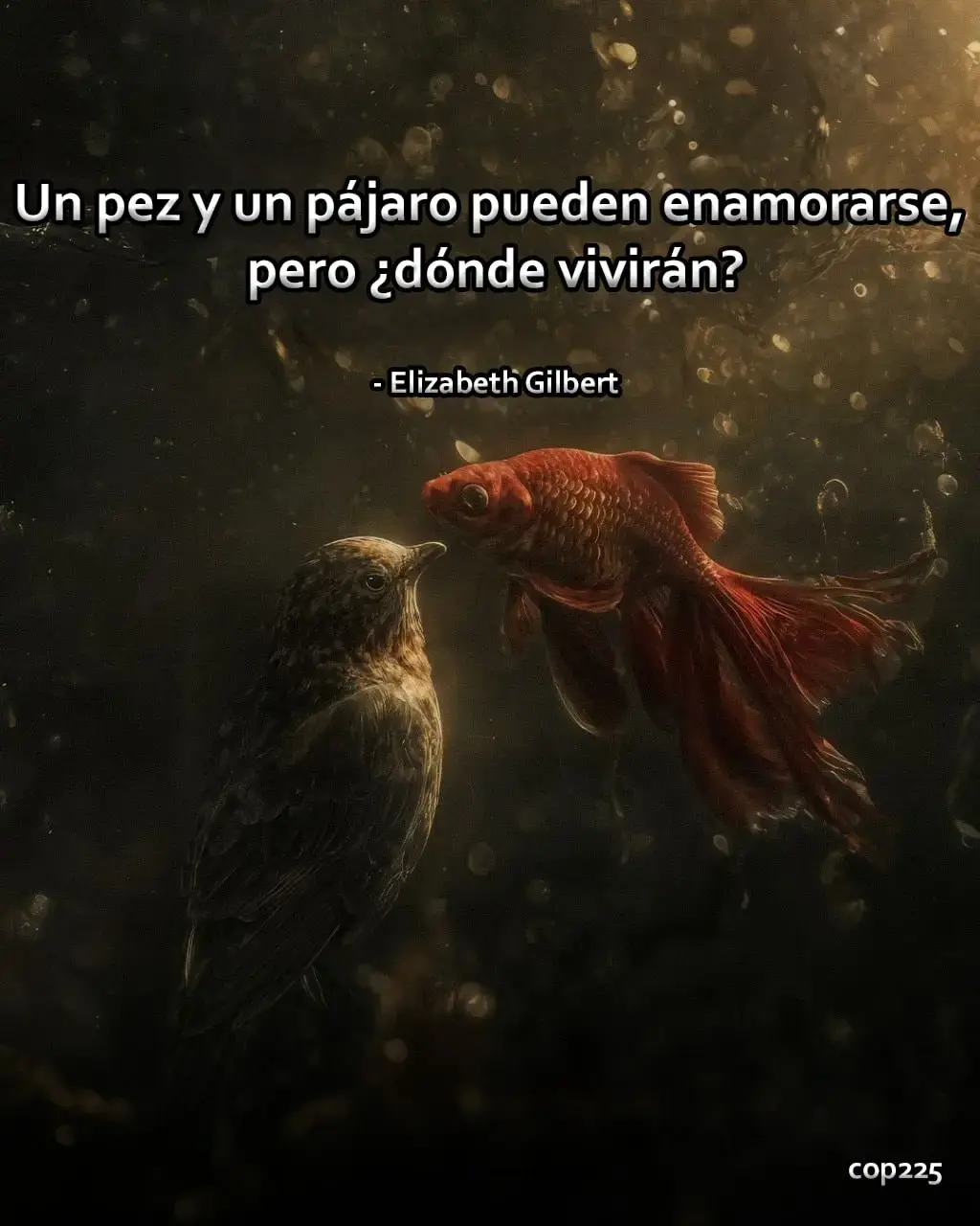 8rKnI.webp
