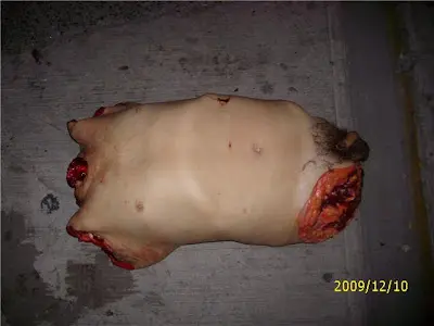 foto7.jpg