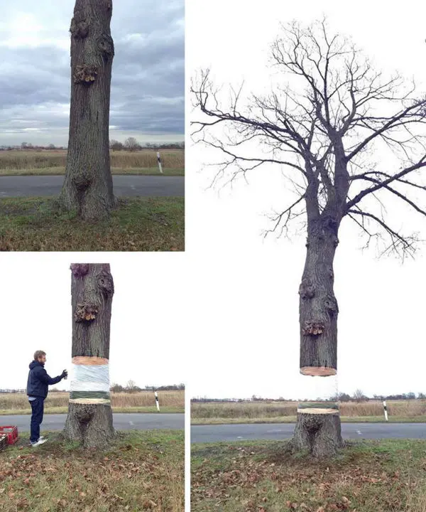 UMjQzVw.jpg