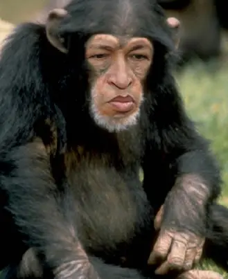 ChavezMono.jpg