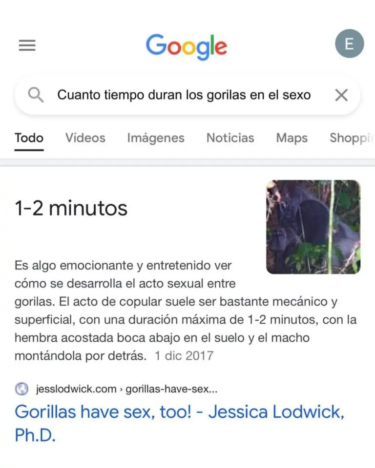 IWhnv6k.jpg