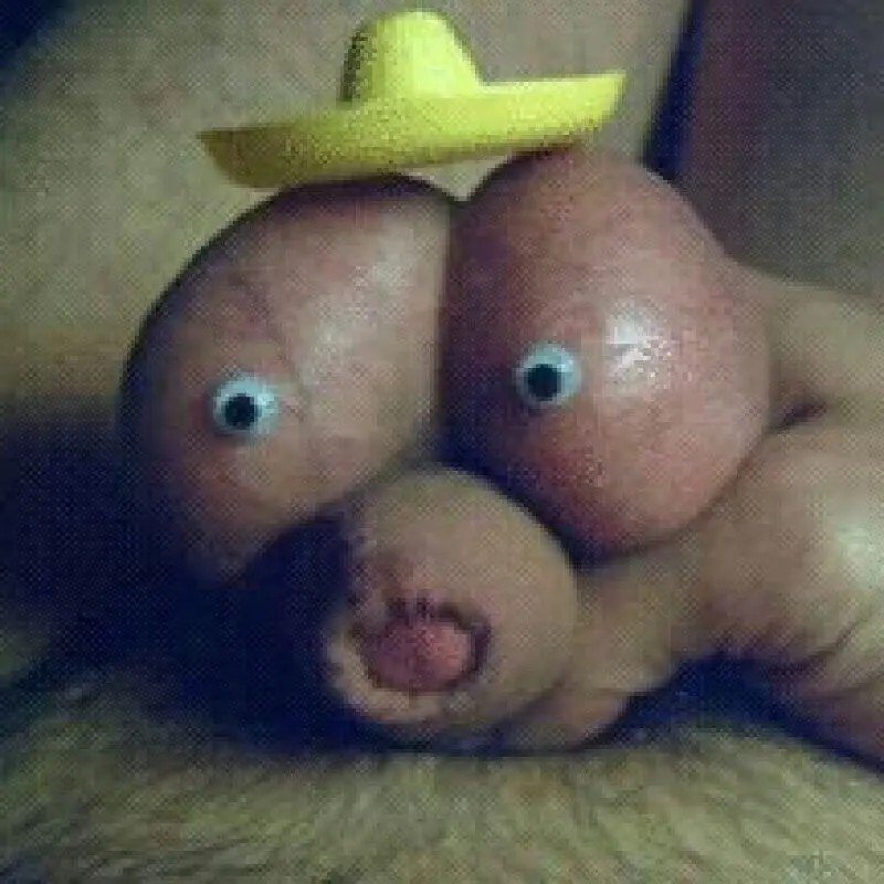 BBAXZ1TCUAAYtXh.jpg:large