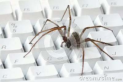 una-ara-ntildea-en-el-teclado-de-ordenador-blanco-thumb21959681.jpg