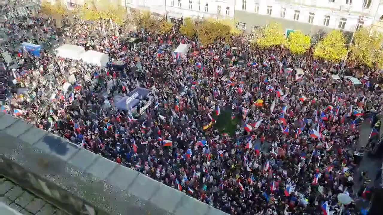 eldiestro.tv