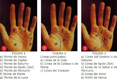 lineas+manos.jpg
