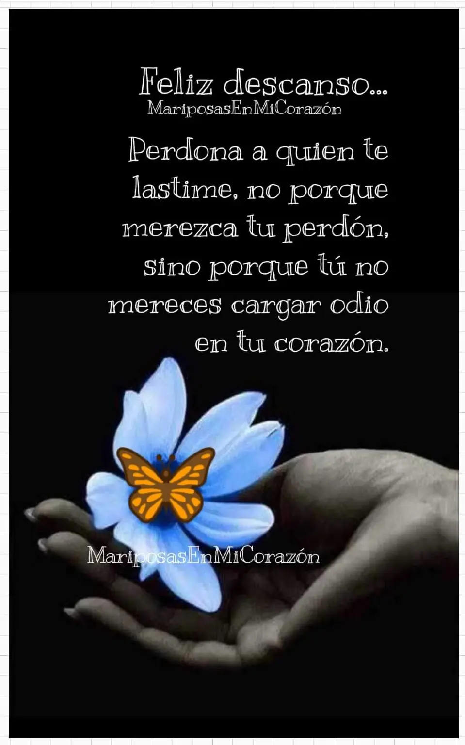mariposa4.jpg