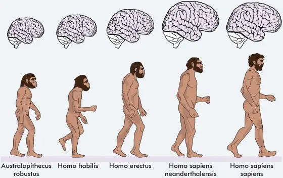 e6b9247a7ff1a6b1293921c8891de622.jpg