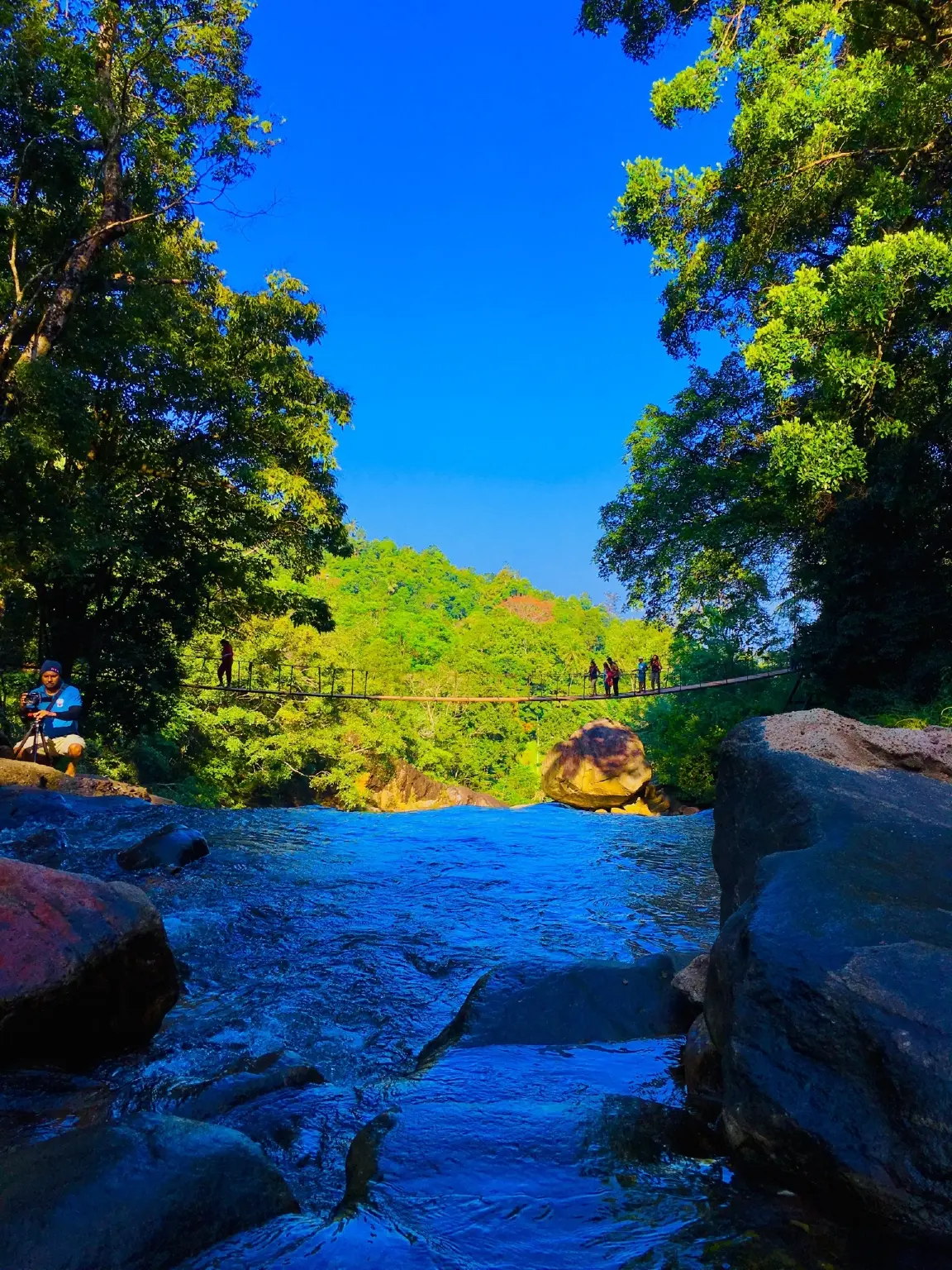 Tropical.jpg