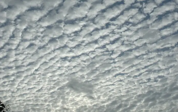 imagen-2021-10-07-112019.png