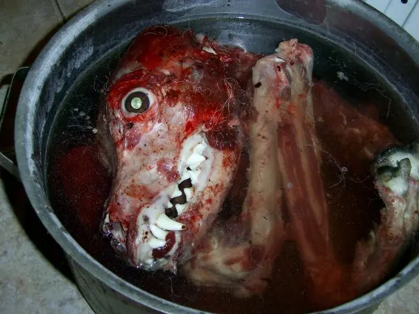 dog6.jpg