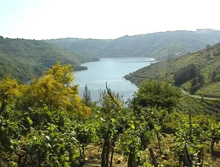 ribeira-sacra.jpg
