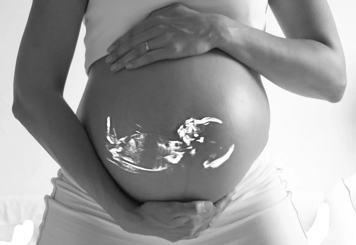 pregnant-g3a21884f6-1280.jpg