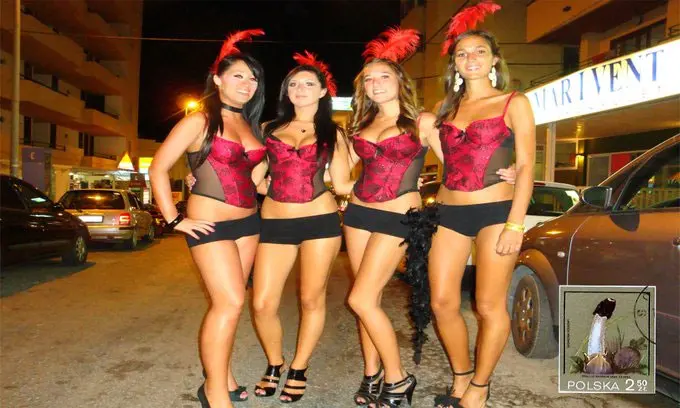 gogo800.jpg