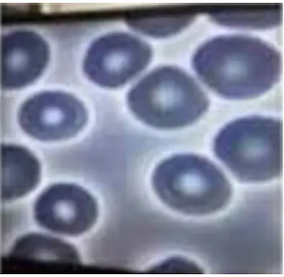 a7f707e01949931f154a5.png