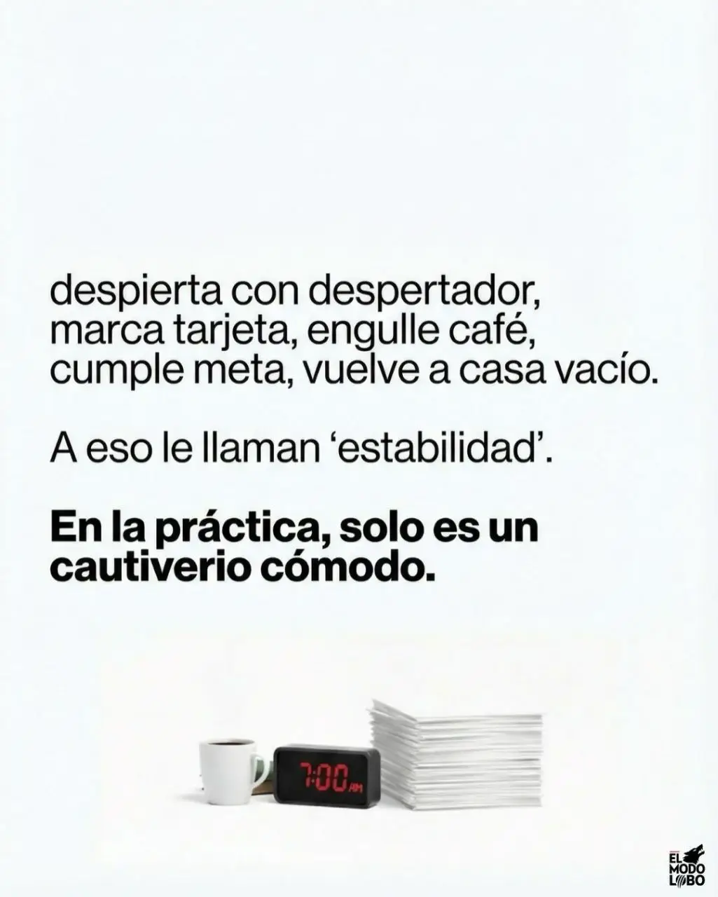 photo-2026-01-25-09-23-32-364-fts.webp