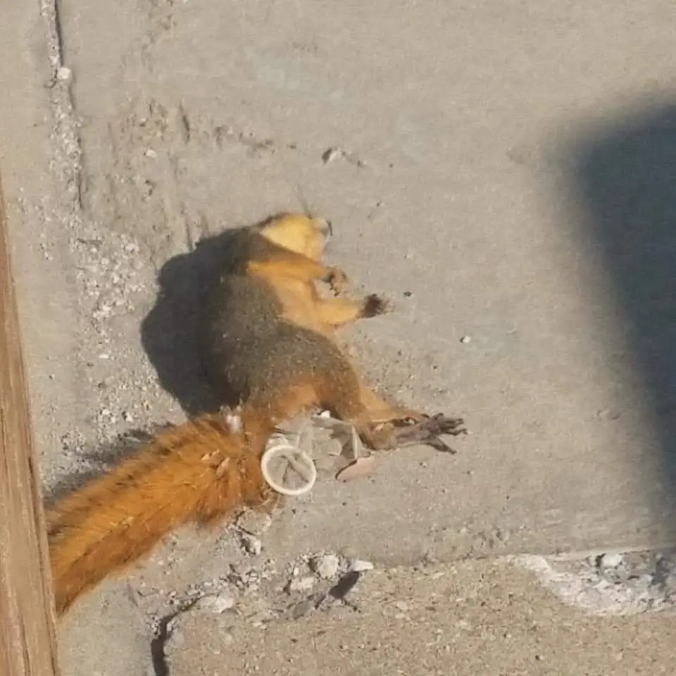 TZbn3Qe.jpg