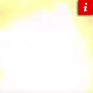 eldiestro.tv
