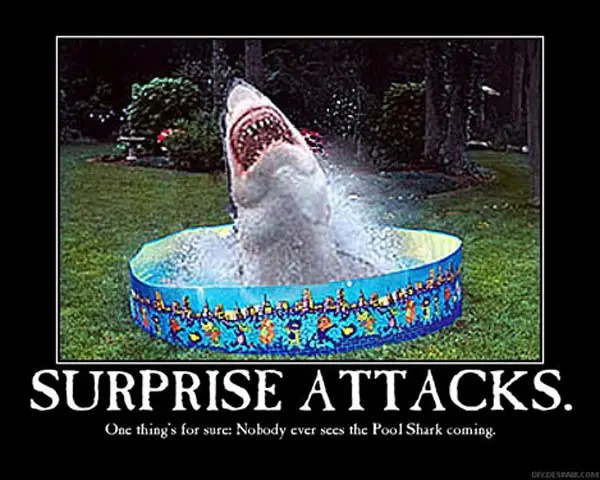 Surprise.jpg