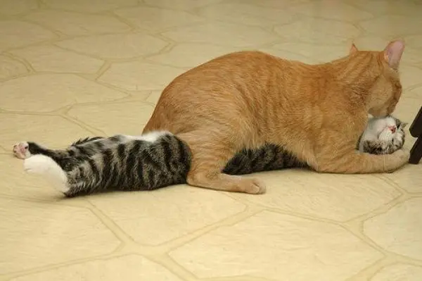 csLkmxE.jpg
