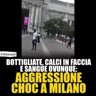 eldiestro.tv