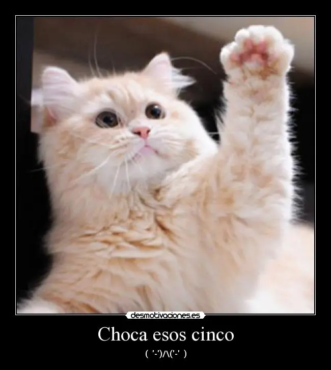 choca_esos_cinco_290.jpg