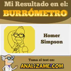 t_burrometro_homero.jpg