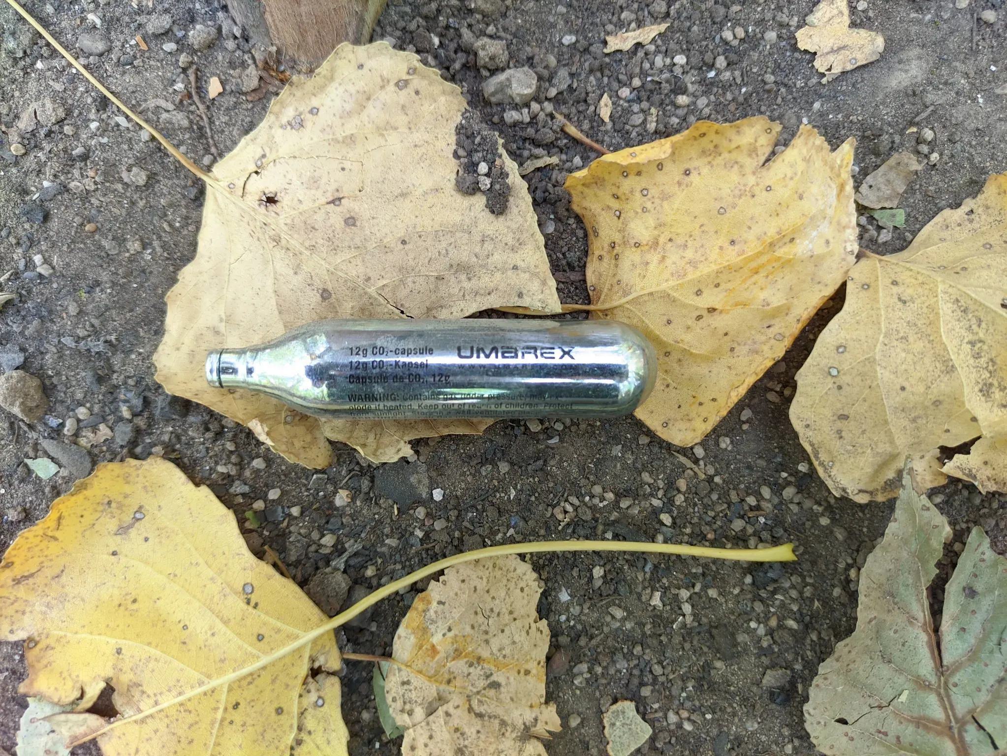 NgOKoP.jpg
