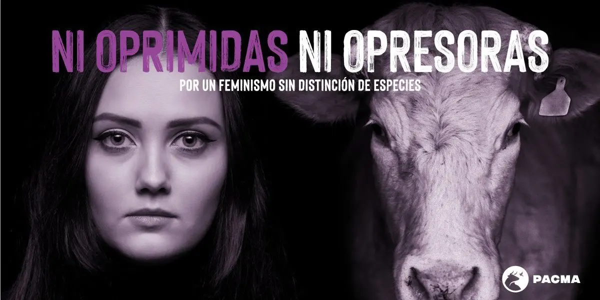 www.europapress.es