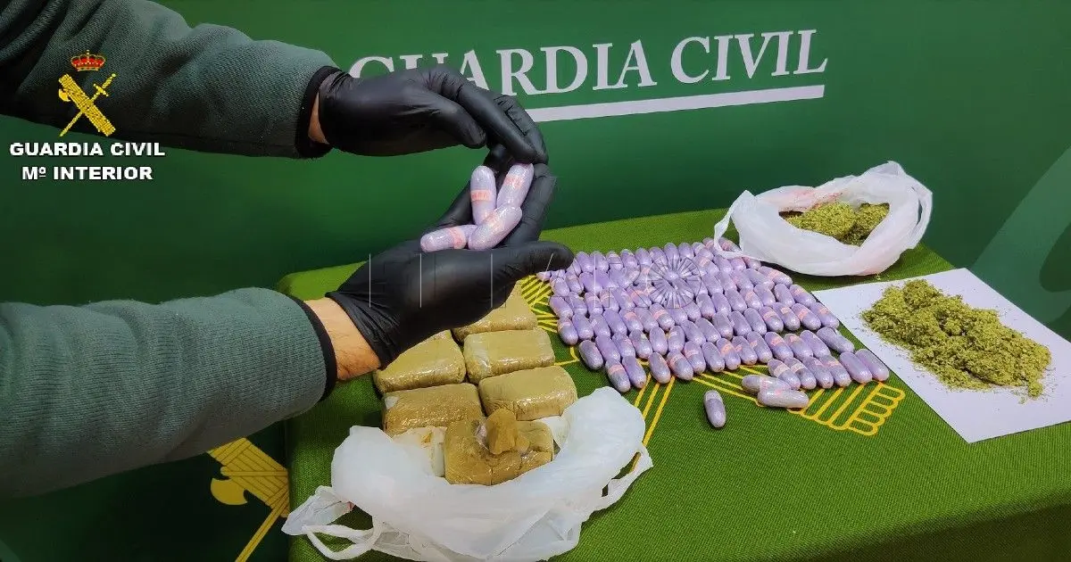 elfarodemelilla.es