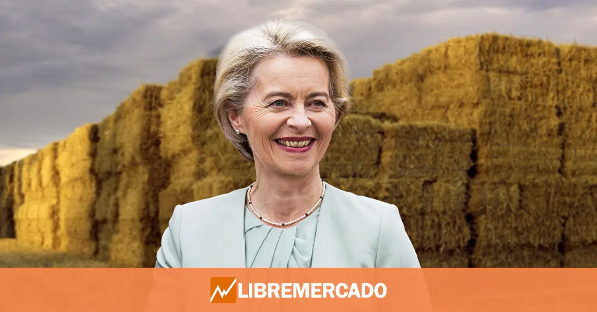 www.libremercado.com