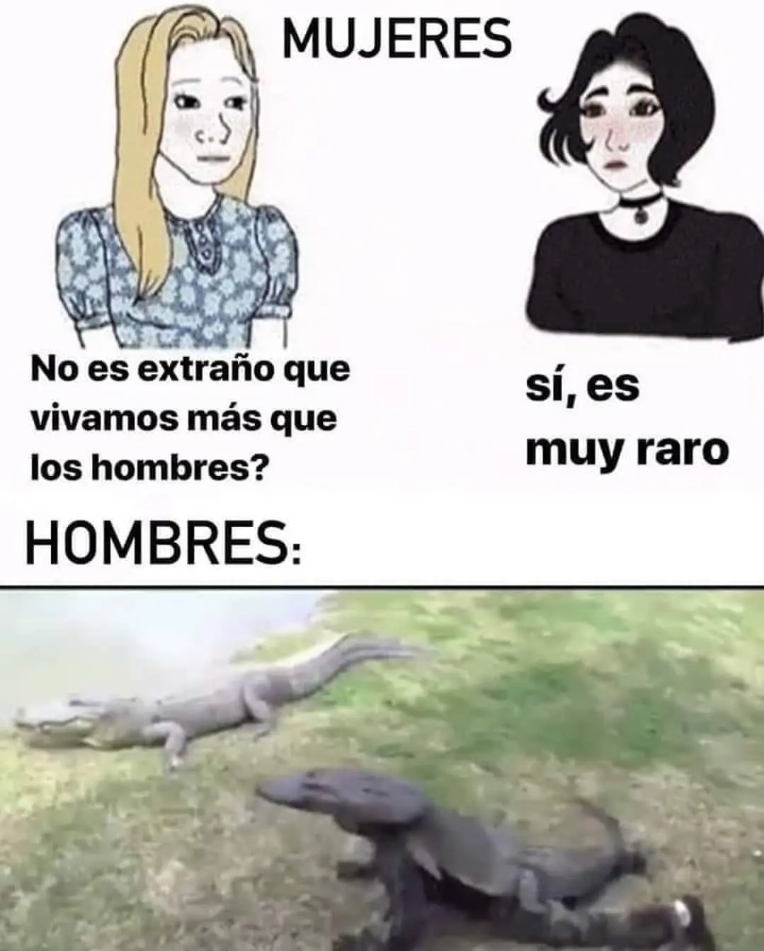 ZuZQXem.jpg