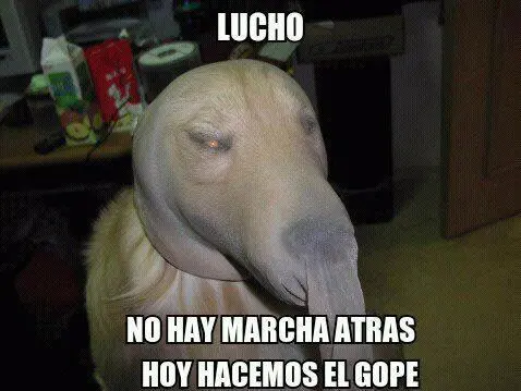 tumblr_m8ipu1xvyd1r88u00o1_500.jpg
