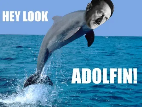 tumblr_lsalrjxPh11qz5t09o1_500.jpg