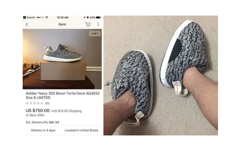 qL6LUe3.jpg