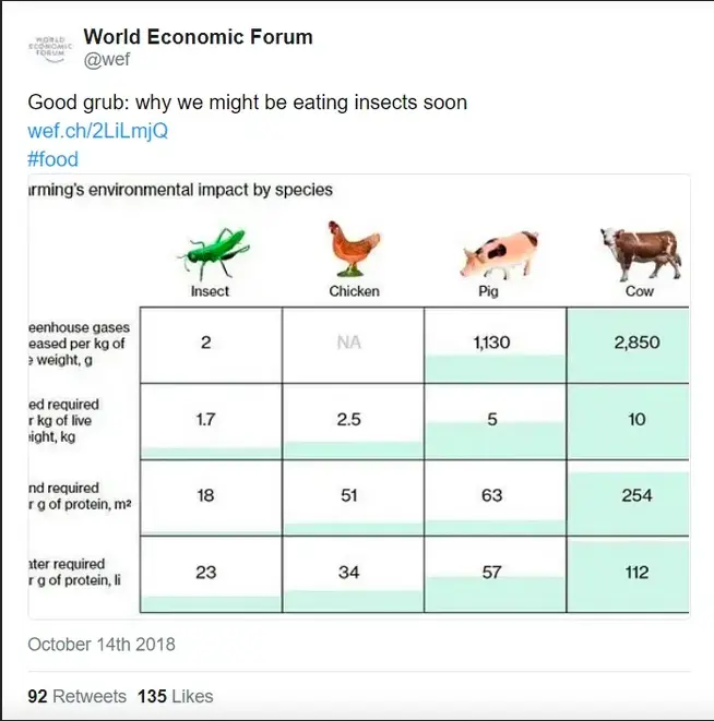 Screen-Shot-2023-05-07-at-12.00.15-AM.png