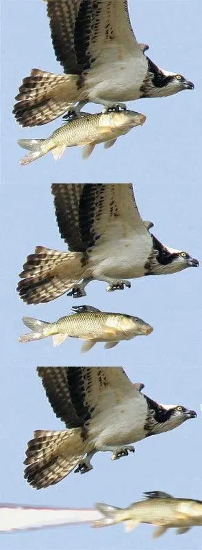 2tQvE.jpg