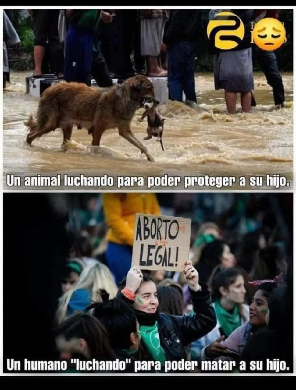 leLmnr5.jpg